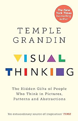 The Visual Thinker